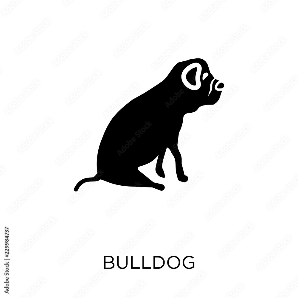 Fototapeta premium Bulldog icon. Bulldog symbol design from Dogs collection.