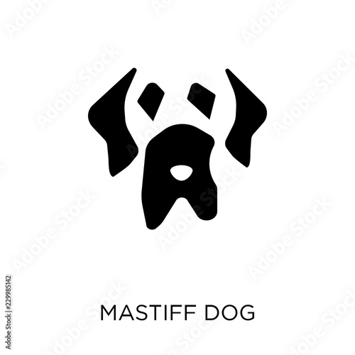 Mastiff dog icon. Mastiff dog symbol design from Dogs collection.