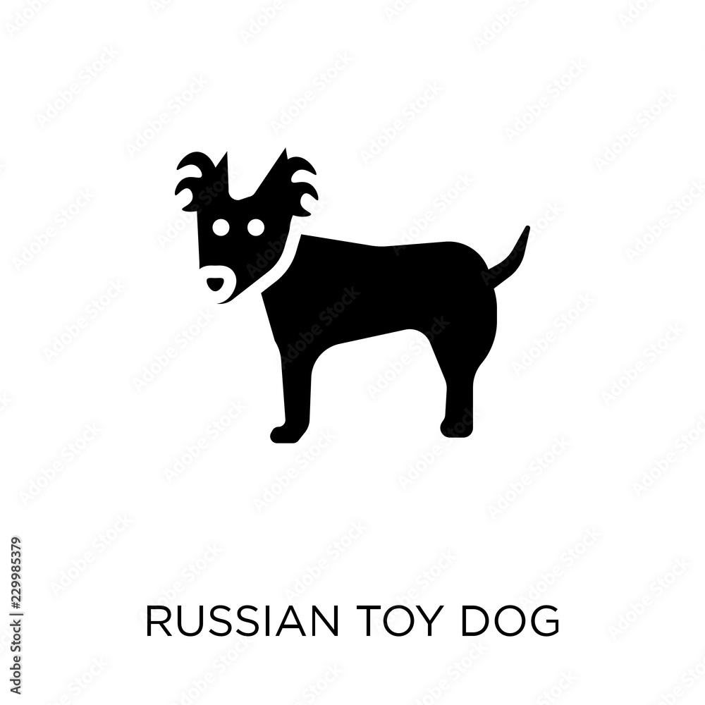 Russian Toy dog icon. Russian Toy dog symbol design from Dogs collection. Russian Toy dog icon. Russian Toy dog symbol design from Dogs collection.