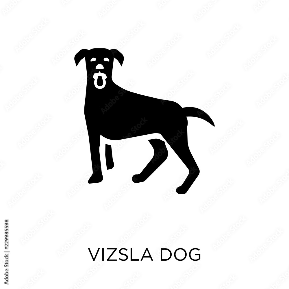 Vizsla dog icon. Vizsla dog symbol design from Dogs collection. Vizsla dog icon. Vizsla dog symbol design from Dogs collection.