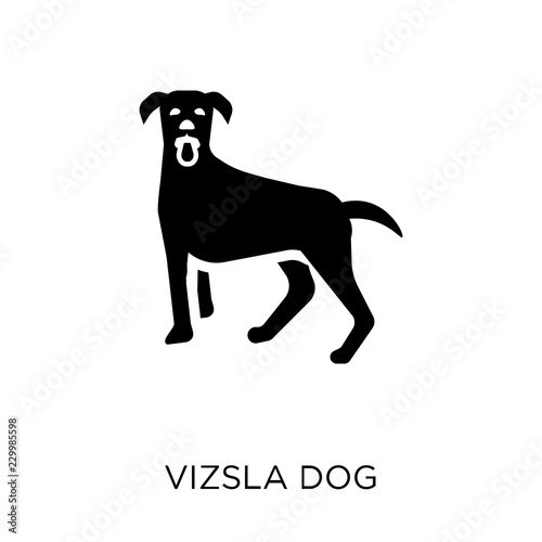 Vizsla dog icon. Vizsla dog symbol design from Dogs collection.