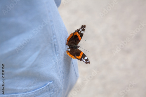 A butterfly sits on the boy s. Focus on the butterfly