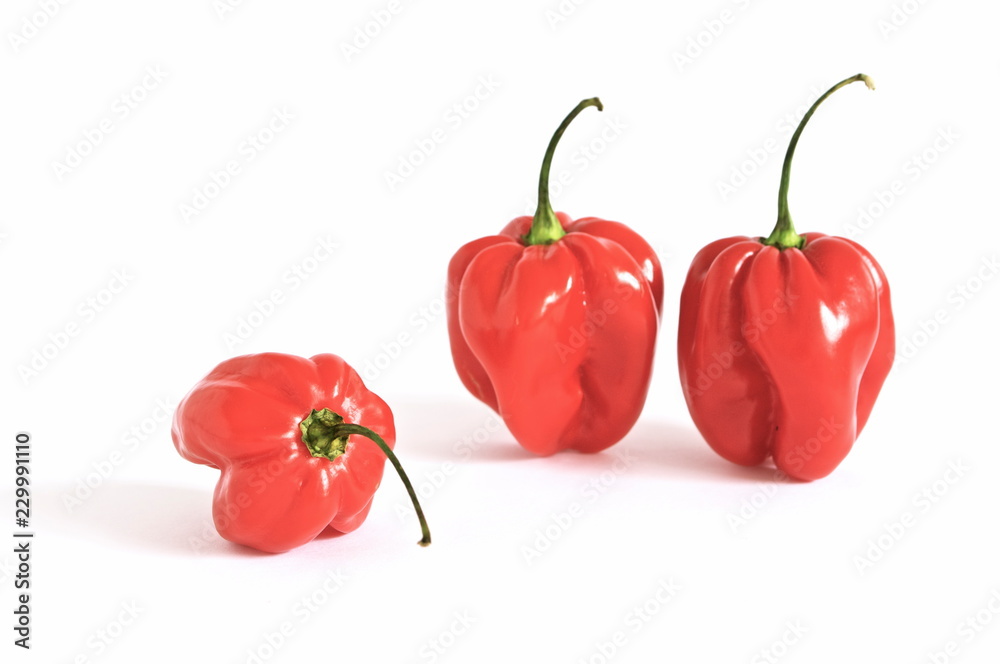 red peppers isolated on white background red peppers isolated on white background