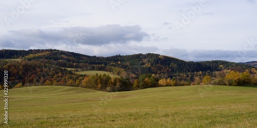 Autumn view of the countryside, rural nature autumn.