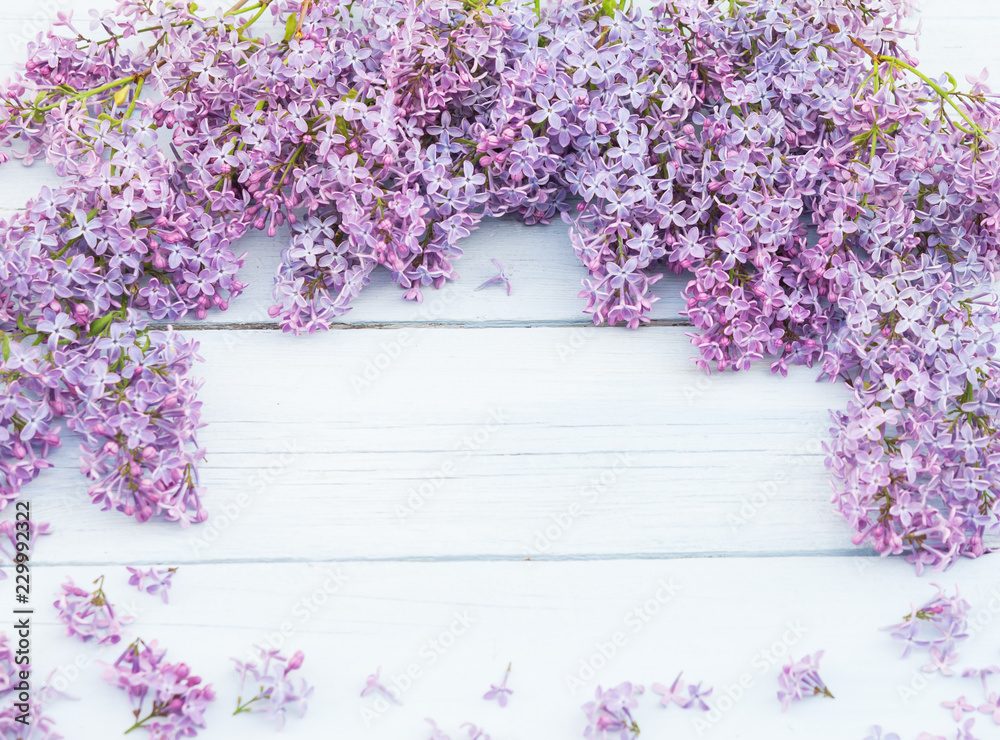 vintage purple flower background