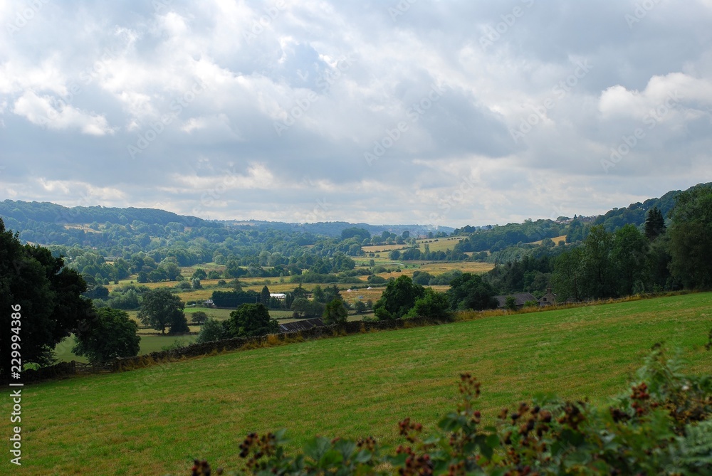 Fototapeta premium Colors of summer in the heart of England. Some rural views of Belper surroundings.