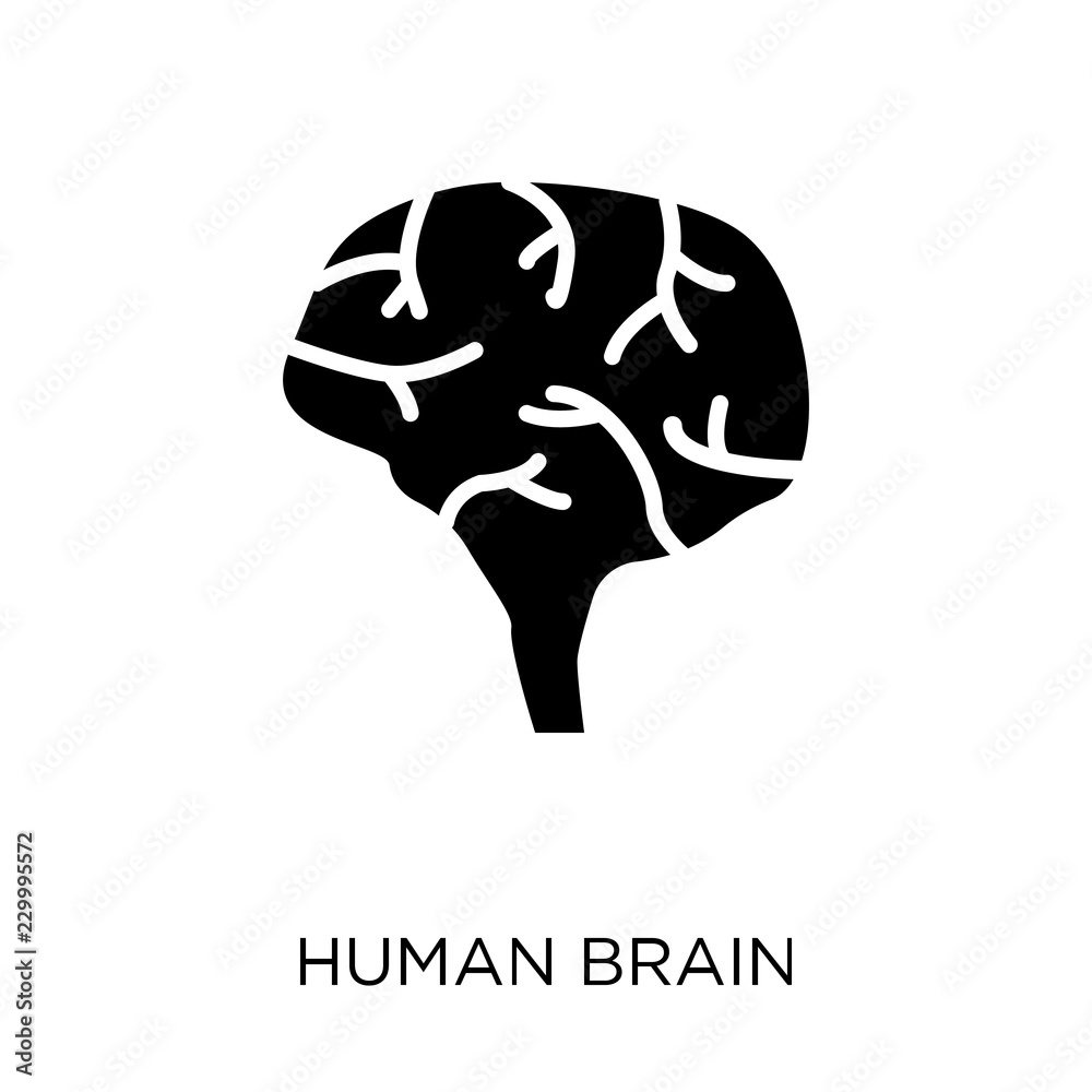 Human Brain icon. Human Brain symbol design from Human Body Parts collection. Simple element vector illustration. Can be used in web and mobile. Human Brain icon. Human Brain symbol design from Human Body Parts collection. Simple element vector illustration. Can be used in web and mobile.