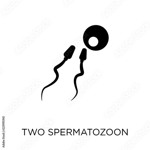 Two Spermatozoon icon. Two Spermatozoon symbol design from Human Body Parts collection. Simple element vector illustration. Can be used in web and mobile.