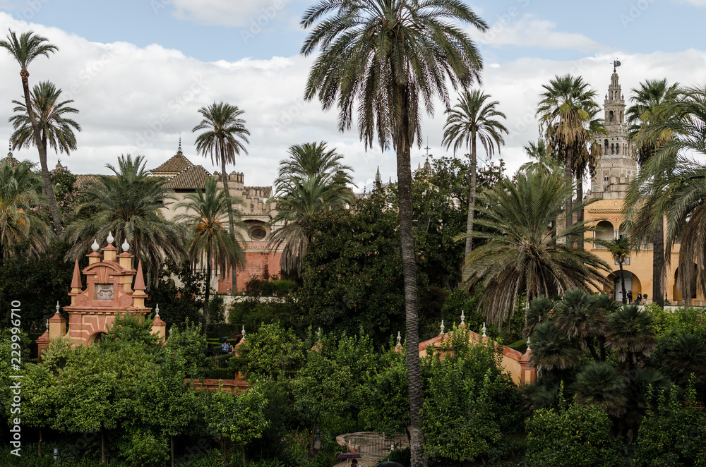 Palms and trees at the Alcazar