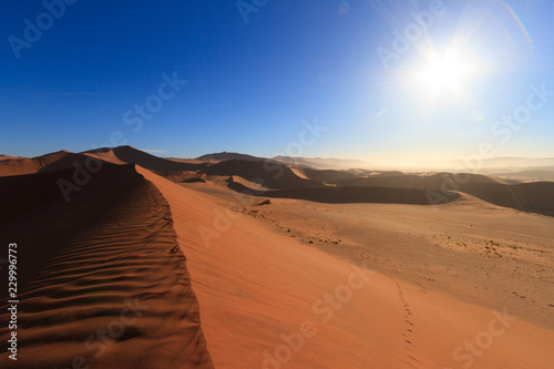 Red sand dunes in morning light at sunrise in the Namib desert in Sossusvlei, Namibia.