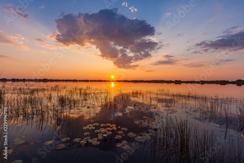 Canvas Print Sunset with waterlilies and clouds over the waters of the Okavango Delta, Botswana