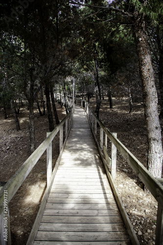 Fototapeta Naklejka Na Ścianę i Meble -  Wooden footbridge in the forest