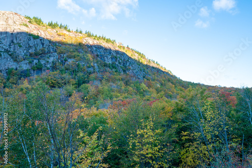 autumn hills