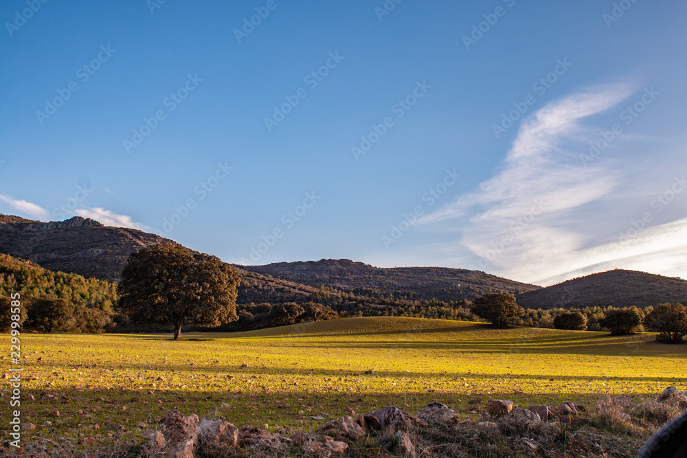 Fototapeta premium Paisaje en la sierra