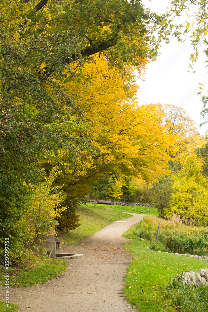 Naklejka premium autumn in a park north of Copenhagen