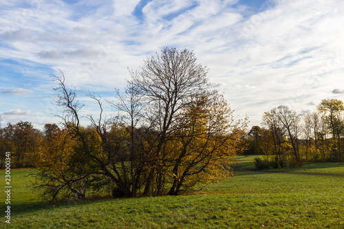 autumn in a park north of Copenhagen © Tomtsya