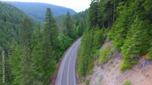 Washington State Highway 101 through green pine trees.