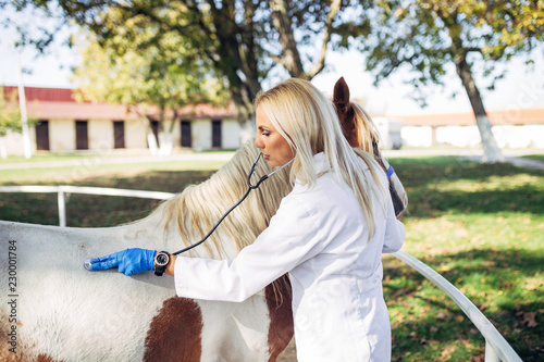 Fototapeta Naklejka Na Ścianę i Meble -  Veterinarian and beautiful horse outdoors at ranch.