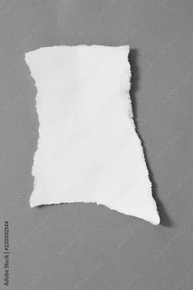 pieces of torn paper texture background, copy space. pieces of torn paper texture background, copy space.