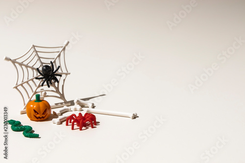 Composition of plastic toys for Halloween  with pumpkin  spider  cobweb  snake and bones
