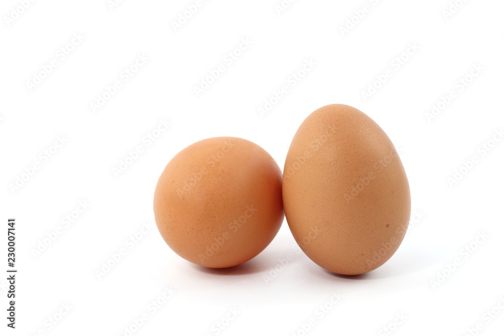 Egg fresh food Egg fresh food