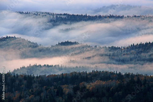 朝霧の山並み
