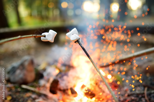 Roasting marshmallows on stick at bonfire. Having fun at camp fire.