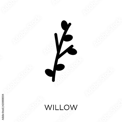 Willow icon. Willow symbol design from Nature collection. © CoolVectorStock