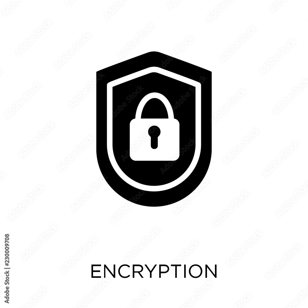 Encryption icon. Encryption symbol design from SEO collection.