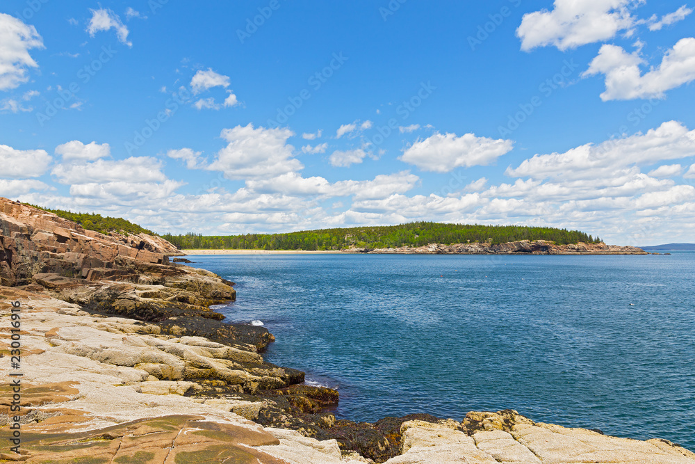 Spectacular landscape of Atlantic Ocean coast line in Acadia National Park, Maine, USA. Granite rocks, spruce forest and blue ocean waters under a blue sky with cumulus clouds.