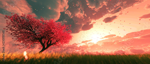 Ogród nieba, tło kwiat drzewa sakura o wschodzie lub zachodzie słońca niebo, renderowanie 3d
