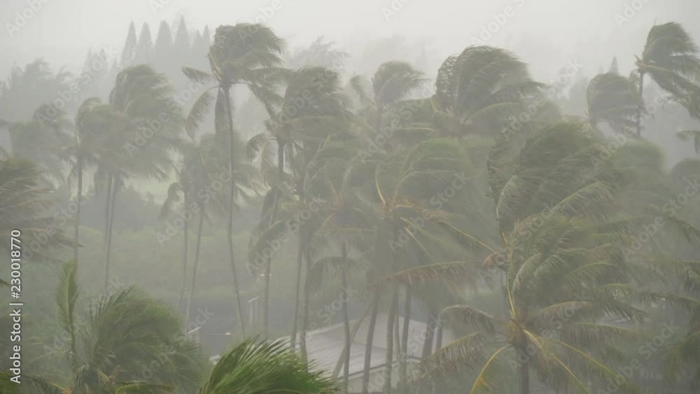 Heavy Rain and Wind on Tropical Island Storm