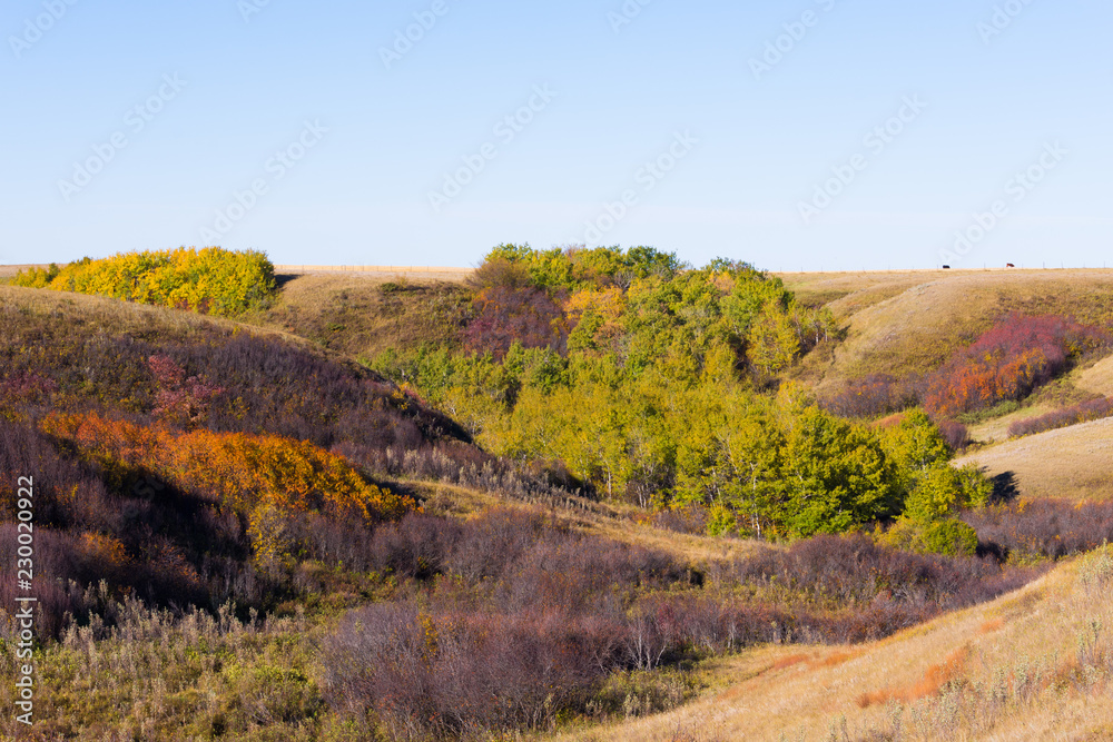 changing colours on the prairies