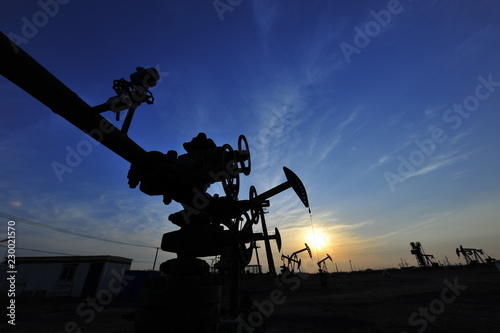 The oil pump