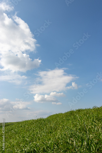 Scenery of the bank of autumn / Tonegawa River of Kazo City, Saitama Prefecture, Japan photo