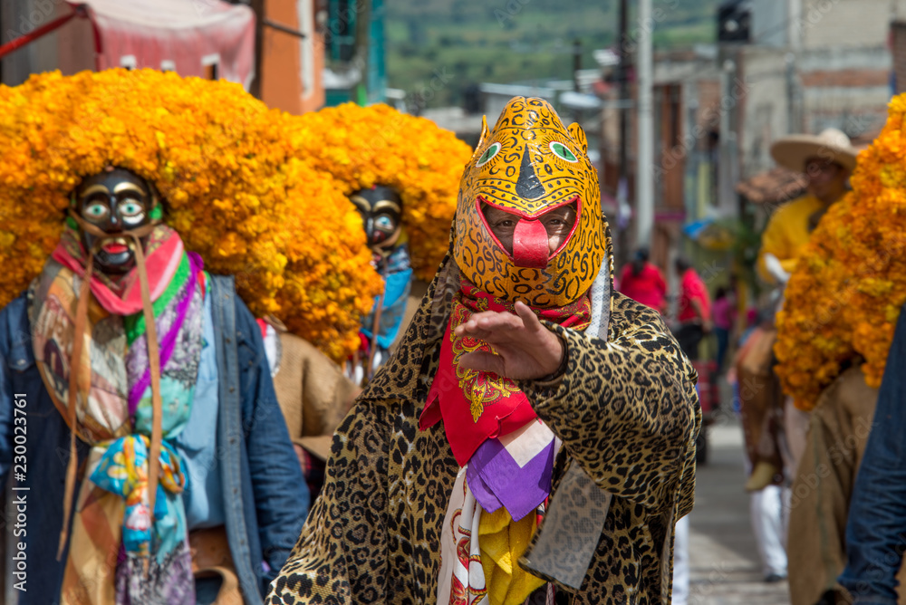 danzantes mexicanos con tigres y sombreros de flores guerrero