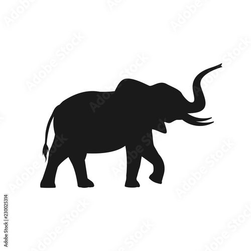 Elephant silhouette vector © KHAz