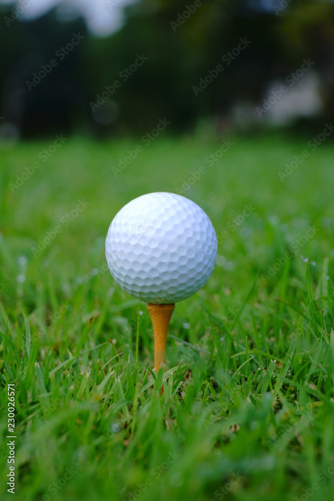 Golf ball and tee with gold course background ready to tee off Golf ball and tee with gold course background ready to tee off