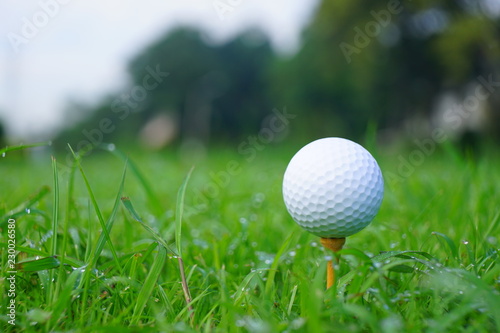 Golf ball and tee with gold course background ready to tee off