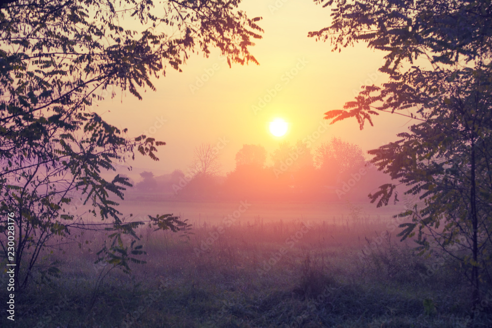 Sunrise over the field in the early misty morning Sunrise over the field in the early misty morning