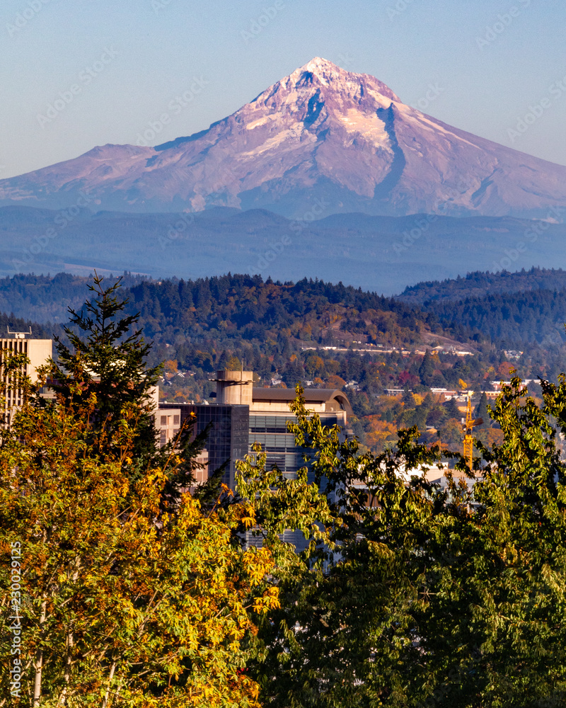 Mt. Hood view from Portland Oregon