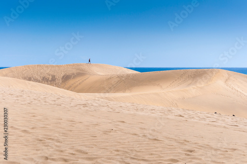 Coastal dunes in Maspalomas beach, in Maspalomas, Gran Canaria Island, Canary Islands, Spain, on February 19, 2017