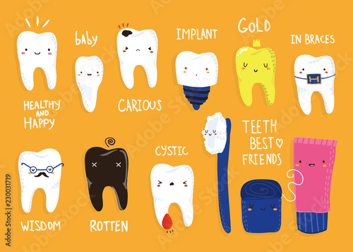 Various cute teeth. Colored vector set. All elements are isolated