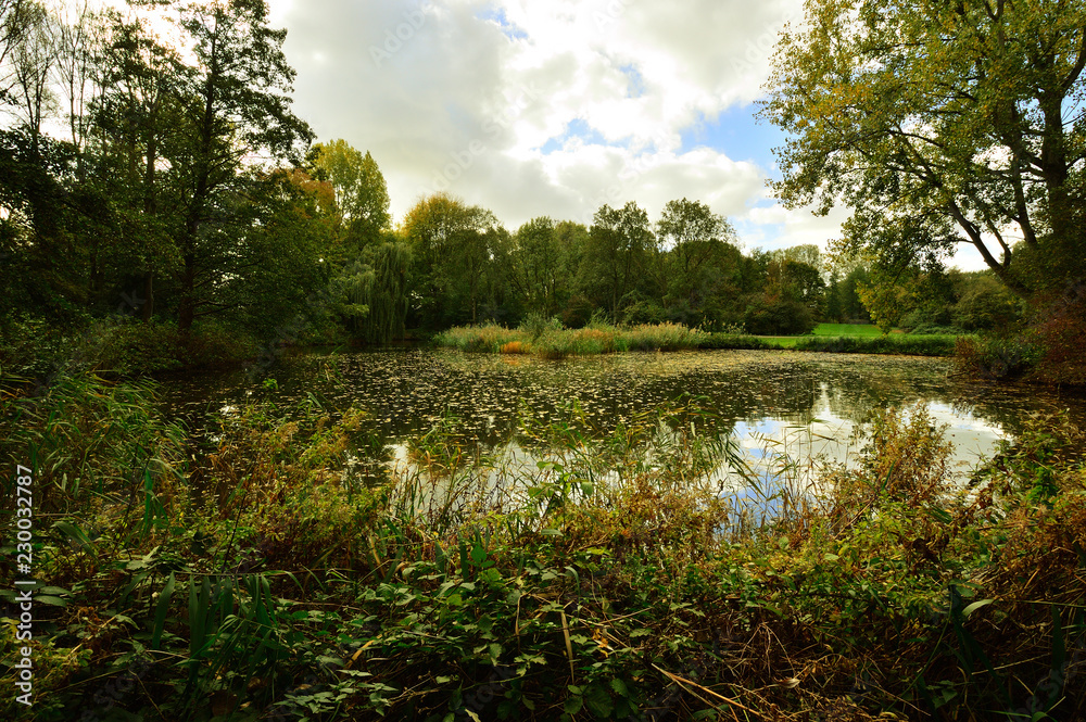 Fototapeta premium Drzewa nad spokojnym jeziorem w późne pogodne popołudnie.