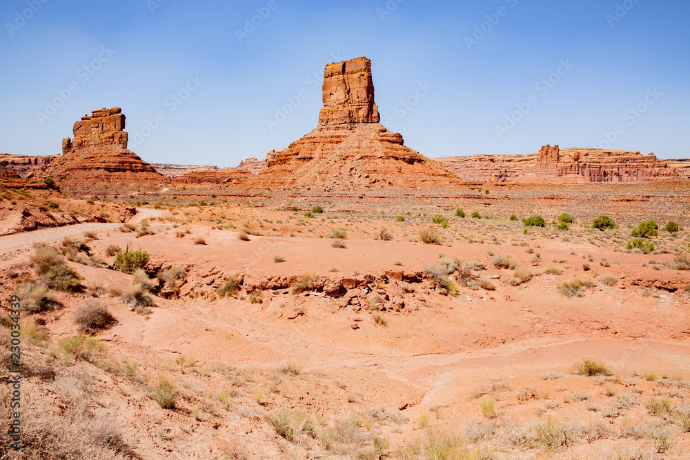 Fototapeta premium The Valley of the Gods in Navajo Nation, Utah, USA