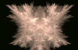 White pattern on black background. Fantasy fractal texture. Digital art. 3D rendering. Computer generated image.
