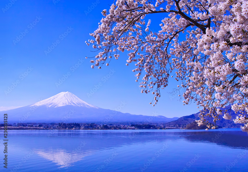 春の河口湖、満開の桜と富士山