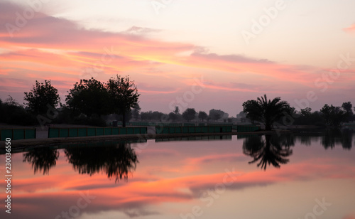 sun rise at al Qudra nature reserve near Dubai photo