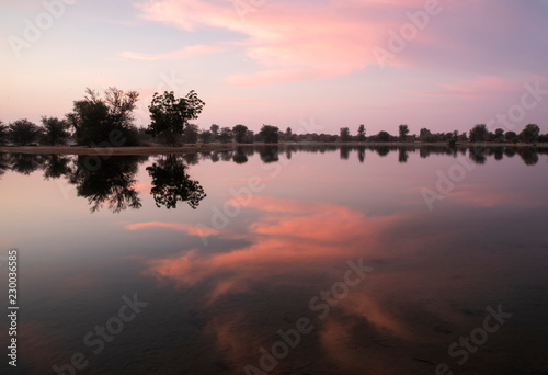 sun rise at al Qudra nature reserve near Dubai photo