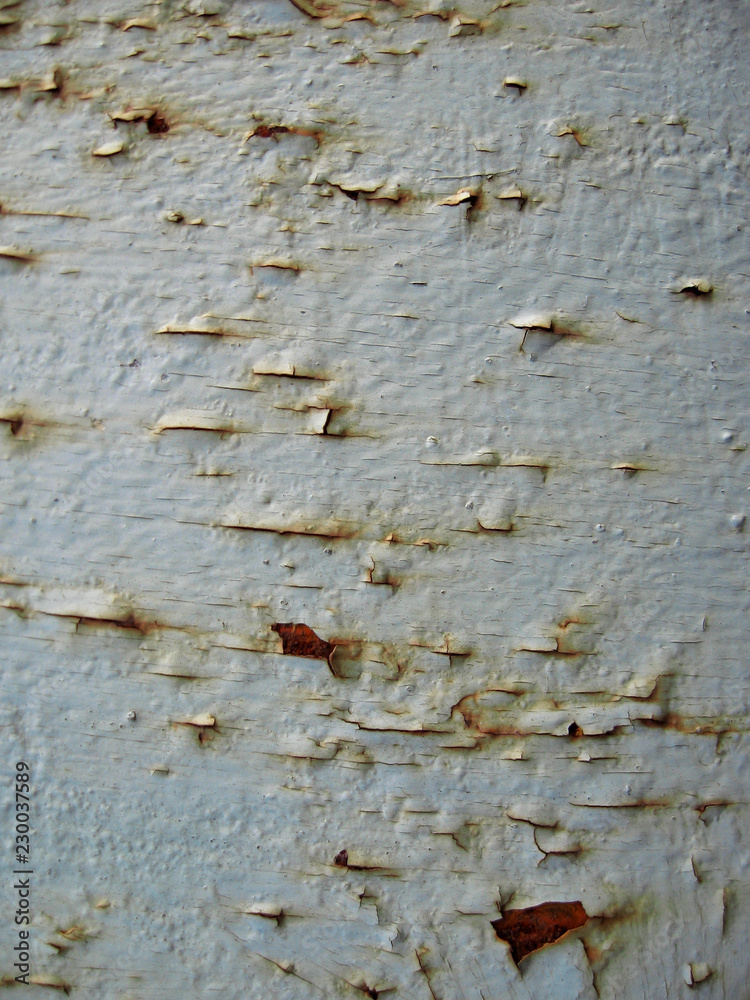 Fototapeta premium Rusty background
